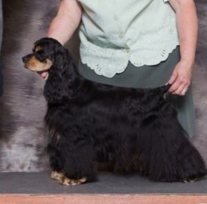 Meet your Posher, Julie